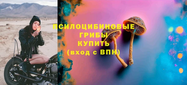эйфоретик Арсеньев