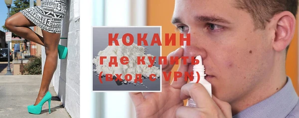 стаф Аркадак