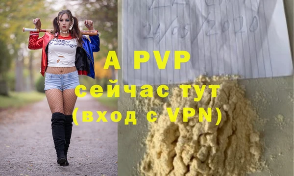эйфоретик Арсеньев