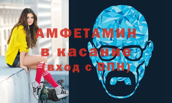 стаф Аркадак