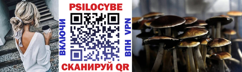 Псилоцибиновые грибы ЛСД  продажа наркотиков  Полярный 